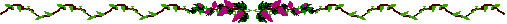 floralborder1.gif (2131 bytes)