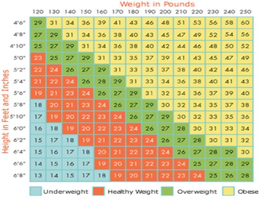 World Health Organization Weight Chart Adults