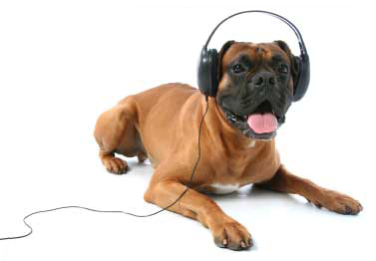 Doggy Headphones