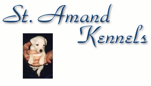 St. Amand Kennels