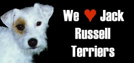 Jack Russell Terriers Puppies