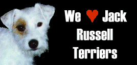 We Love Jack Russell Terriers