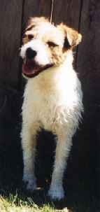 Wally