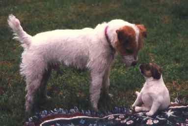 Wally and a Little One