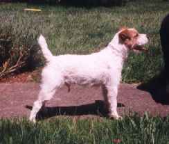 Wally