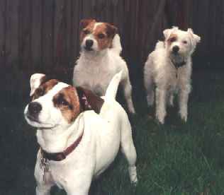 Group Shot