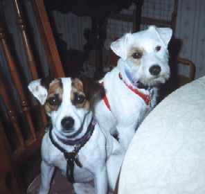 Kero And Sophie