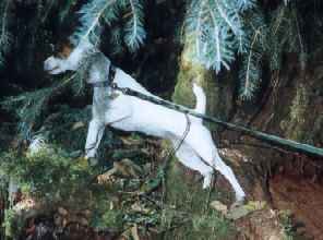 Kero Hunting