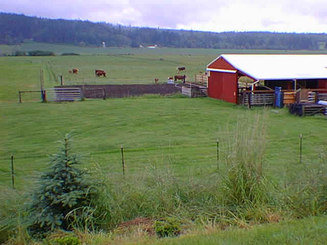 wpe1.jpg (31022 bytes)