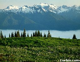Olympic National Park