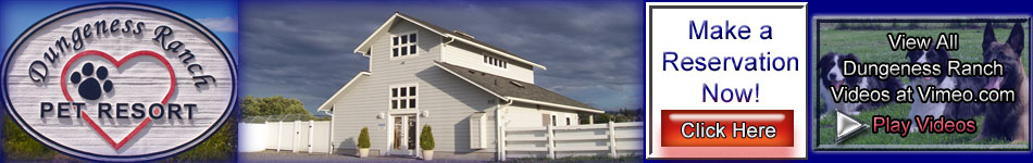 Dungeness Pet Resort