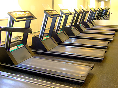 Treadmills in the cardio room