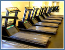 Treadmills in the cardio room