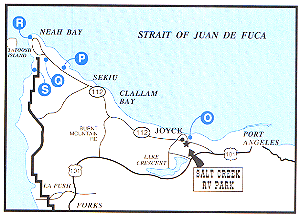 Neah Bay Area Map