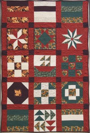 No picture?  Well, it's supposed to be the quilt.