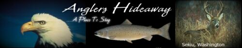 SALMON FISHING AT IT'S BEST. HAVE YOU EVER REALY LIVED?