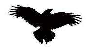 raven icon