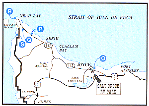 Neah Bay Area Attractions